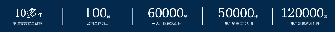 10多年專業(yè)生產(chǎn)交通信號(hào)燈廠家